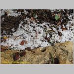 20060814_GrandCanyon_009 copia.jpg